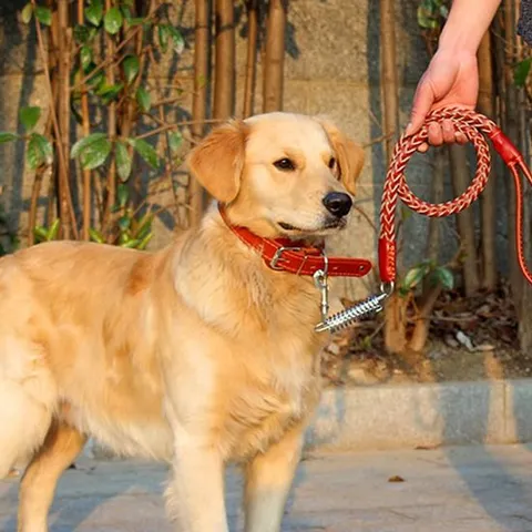 목줄 희망 애완견 가죽 로프목걸이 M 대형견 리드줄