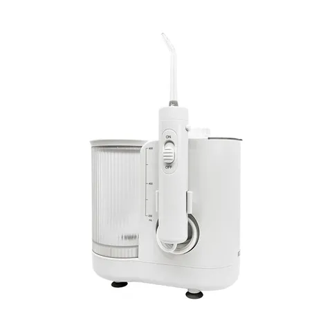 플로글 에코 구강세정기 가정용 FG2000