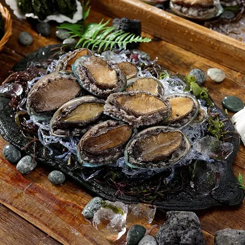 완도 전복 특대 1.5kg (18미 내외)