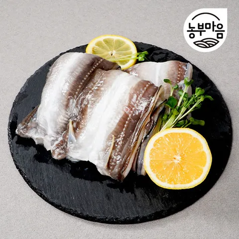 자연산 통영 바다장어 붕장어 아나고 1kg