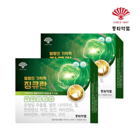 동화약품 혈행엔 기억력 징큐란 2박스 8개월분 혈행개선