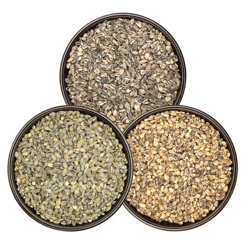 삼색보리 3kg (녹색보리1kg+검정보리1kg+자색보리1kg)