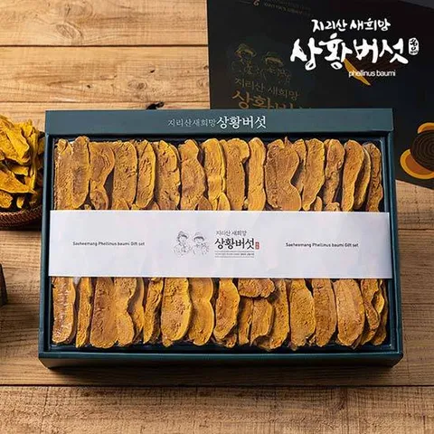 [지리산새희망상황버섯]유기농지리산상황버섯(선물용)500g택1