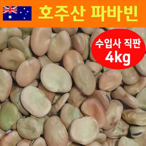 햇 호주산 파바빈(대) 4kg 파바빈 콩 원물 파바빈 단백질