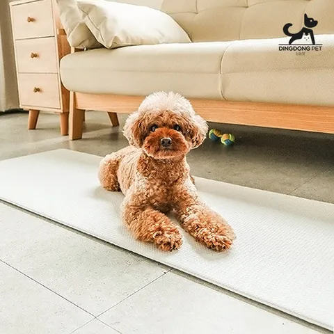 딩동펫 반려동물 미끄럼방지 퓨어점핑 방수매트 L