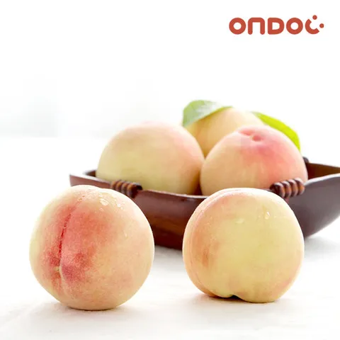 [온도씨]25년 햇사레 복숭아 백도 2kg 5-6과
