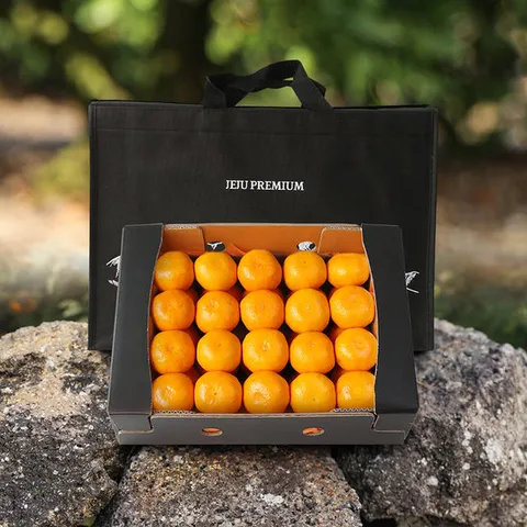 탐나는 제주 프리미엄 비가림 귤 선물세트(로얄과) 3kg