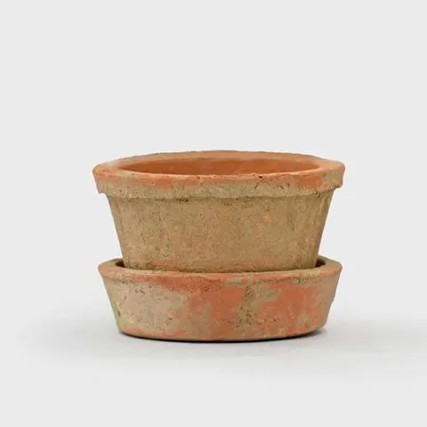 모스 미니 캐터팟 받침세트 베트남 토분 화분