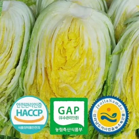 [주문예약] 3개인증 GAP HACCP 전남도지사인증 직접 기른 해남 절임배추 20kg 국내산 천일염 7-10포기 TB