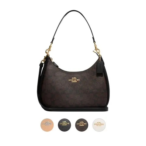 코치 테리 호보백