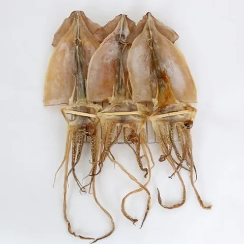 Fresh 건어물 마른 안주 간식 마른 오징어 1미 70g 이상