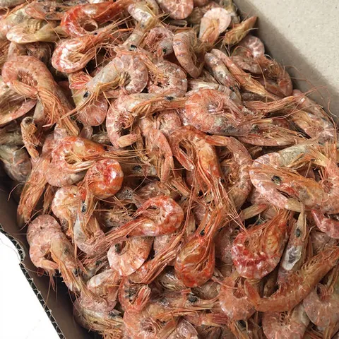 국산 건새우 1kg 건조새우 마른새우 중화새우 중하새우 수염새우