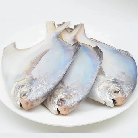 국내산 여수 병어 대형 10마리 2kg 내외