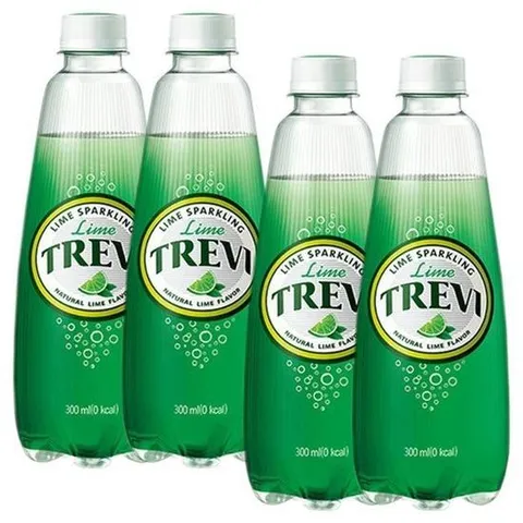 롯데 트레비 라임 300ml x 40PET (20펫x 2박스)
