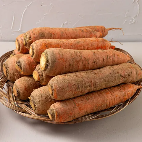 제주 구좌 흙당근 중 3kg