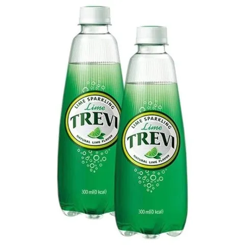 롯데 트레비 라임 300mlx20펫