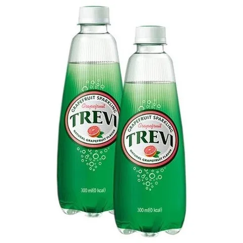 롯데 트레비 자몽 300mlx20펫