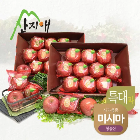 산지애 특대 사과 6kg (3kg*2박스)