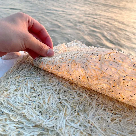 서해안 햇 뱅어포 10장 상급 뱅어포조림 실치포 실치