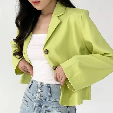 여성 봄 가을 스탠다드 데일리 베이직 숏 자켓