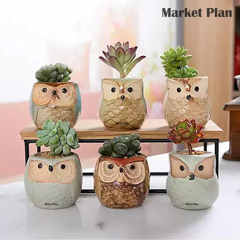 마켓플랜 부엉이 다육이 미니화분 6종 세트