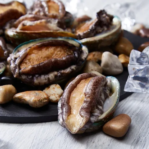 [산지직송] 해남 활전복 1kg(17-20미)