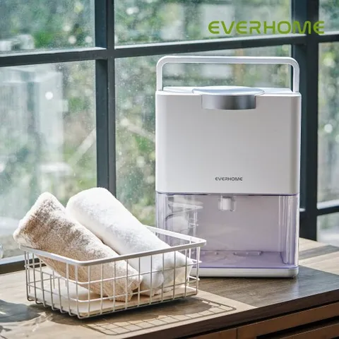 에버홈 공기청정제습기 미니제습기 듀얼펠티어 제습기 미세먼지