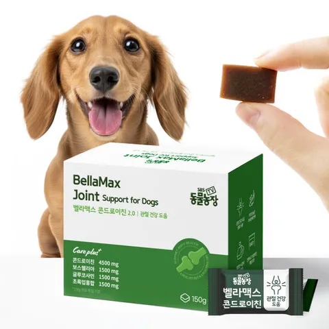 벨라맥스 SBS TV 동물농장 수의사 강아지 관절 영양제 콘드로이친
