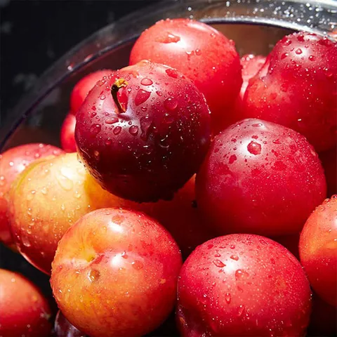 국내산 햇 하우스 자두 300g (소과/팩당7-9과)