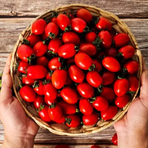 대추 방울토마토 1kg(1-2번) 로얄과