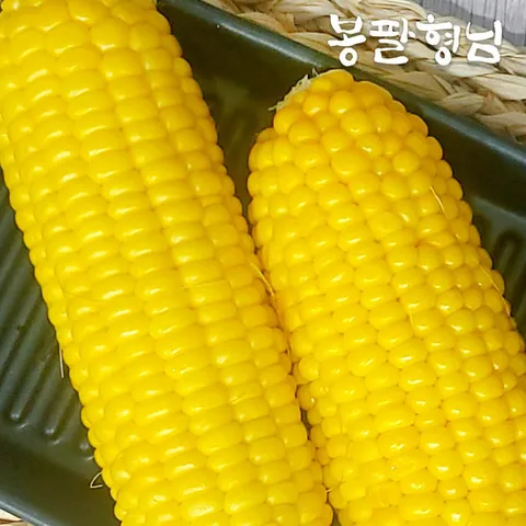 해남 제철 초당옥수수 (중품) 20개