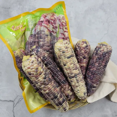 [옥과농협]산지직송 찐냉동 흑찰옥수수 9개 (3개입 x 3팩)