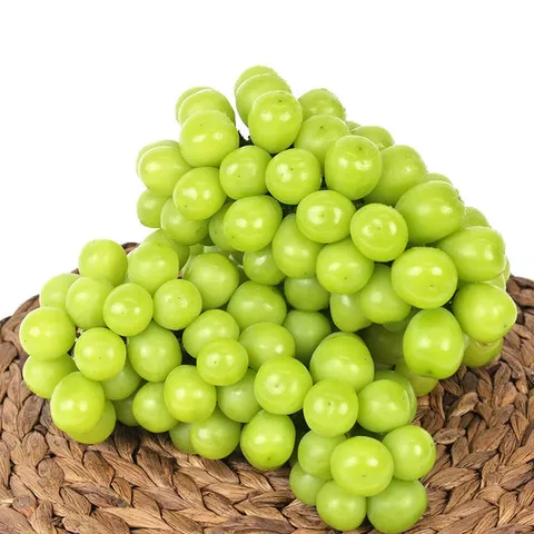 샤인머스켓 2kg (3수) 달콤하고 망고향 가득한 망고포도