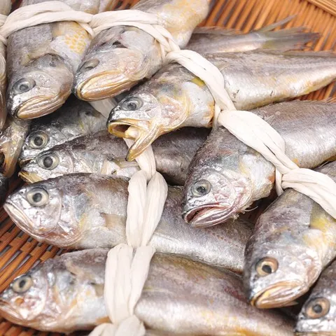 영광 법성포 굴비 40미 2.1kg내외 (15~16cm)