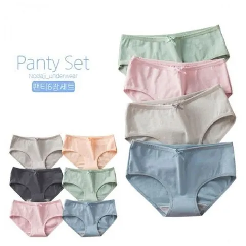 리본 면속옷 요일팬티 면스판 6종