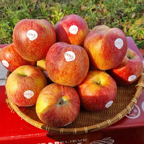 고당도 가정용 엔비사과 3kg 소과 (19과내외)