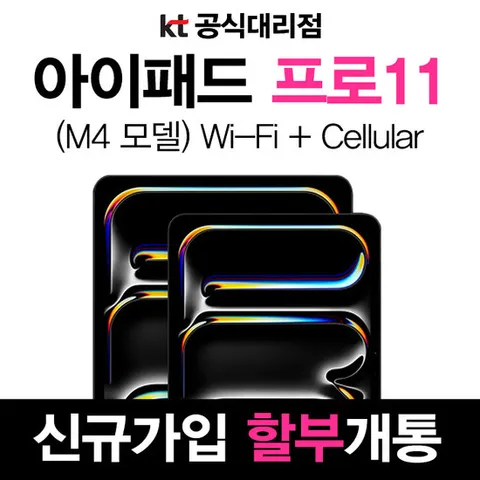 아이패드 프로 M4 11인치 256GB 실버 KT 5G 셀룰러 신규가입 기기변경 할부개통