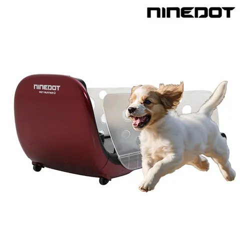 나인닷 반려동물 자동간식 & 런닝머신 NDP100 (R)/실내산책 애견