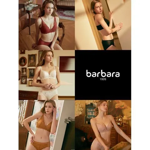 [바바라 언더웨어]바바라 프리미엄 레이스 노와이어 여성속옷세트 10종