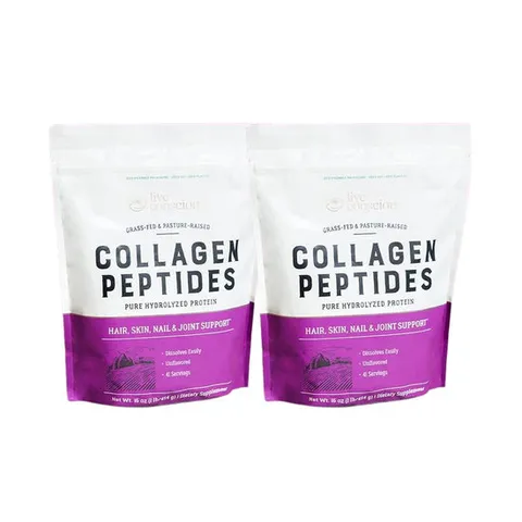 콜라겐  펩타이드  프로틴  파우더  454g  2개  단백질  건강식품