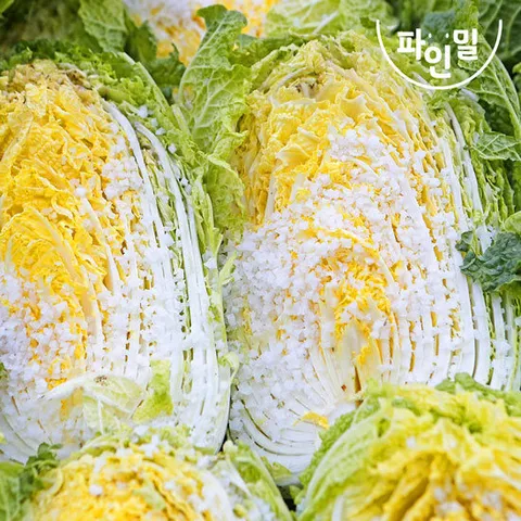 [예약배송] 해남 절임배추 20kg(7~9포기) / 마트납품용
