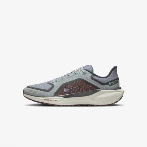 나이키운동화 WQS FQ1356-003 나이키 페가수스 41 GTX