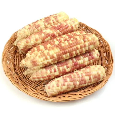 냉동 홍찰옥수수 중(12~14cm내외) 15개/ 2세트 구매시 35개 발송