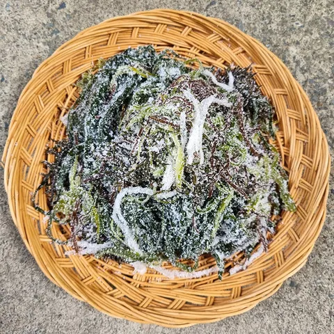 염장 모듬해초 2.5kg내외