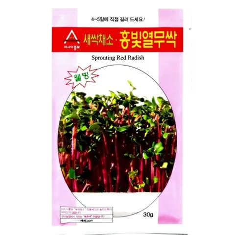 아시아종묘 씨앗 새싹 홍빛열무싹 1kg