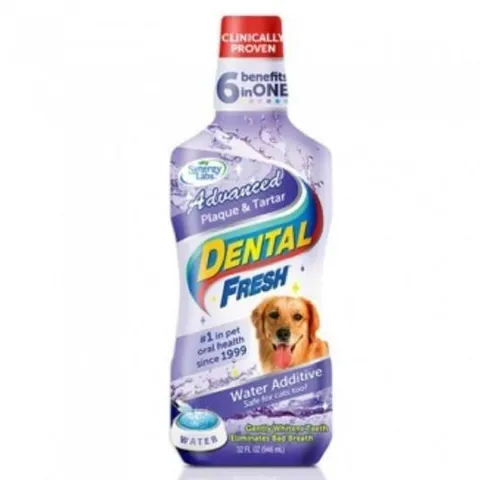 [프로셀러] 덴탈후레쉬 어드밴스 프라그 치석 503ml