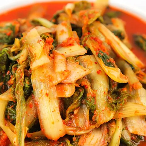 당일제조 전라도 얼갈이김치 5kg