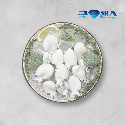 미니 갑오징어 180g + 180g  베이비 갑오징어