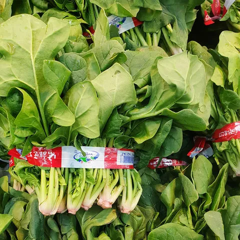 [푸르젠] 산지직송 남해 노지 시금치 2kg