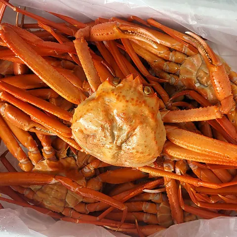 [해담]당일조업 속초홍게(소) 자숙 3kg(10-12미) 수율 90% 내외 A급 산지직송